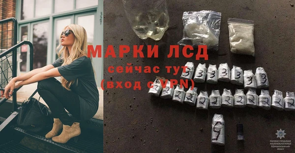 стафф Белокуриха