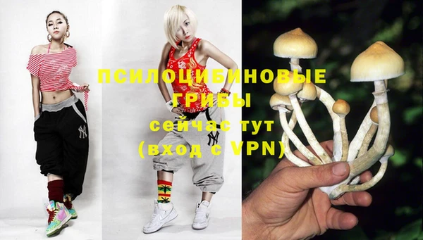 стафф Белокуриха