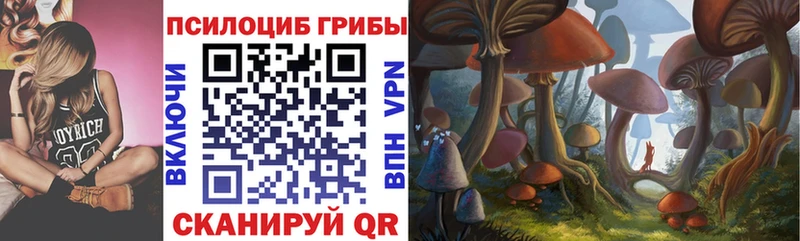 Псилоцибиновые грибы прущие грибы kraken зеркало Бузулук купить наркотики сайты